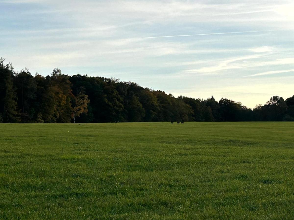 Ferienwohnung Im Usseltal - Monheimer Alb - Altmuehltal - Familie Geyer - Daiting Monheim  Exteriör bild