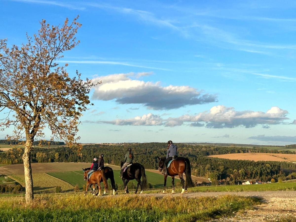 Ferienwohnung Im Usseltal - Monheimer Alb - Altmuehltal - Familie Geyer - Daiting Monheim  Exteriör bild